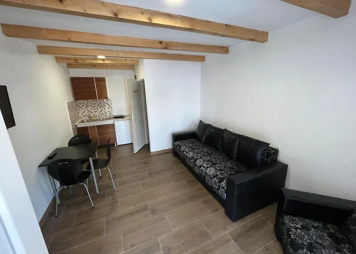 Apartman Studio Soko Banja